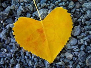 in-love--juergen-weiss