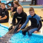 Дети с ограниченными возможностями здоровья смогли поплавать вместе с дельфинами