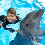 В Сочи особенные дети поплавали с уникальными лекарями — дельфинами